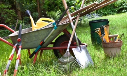 Як підготувати садовий інвентар до городнього сезону: збережіть собі ці поради