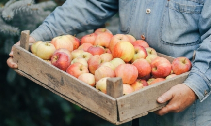 Мало кто знает об этих способах: как сохранить яблоки свежими до самой весны