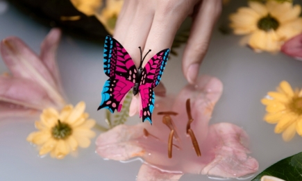 Маникюр с бабочками залетел в тренды: обзор модного нейл-арта на лето 2023 (ФОТО)