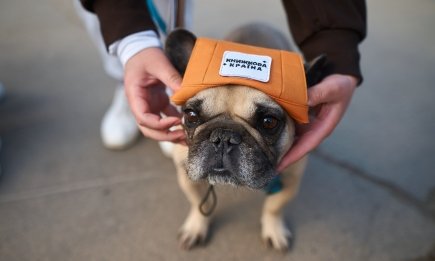 Вход свободный: в Киеве стартует масштабный книжный фестиваль "Книжная страна. Плодовая"