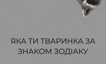 Кіт, змія чи милий кролик: на яку тварину ви схожі за гороскопом?