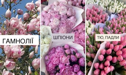 Гениально или шедеврально? Как кавалеры описывают цветы, названия которых не могут запомнить