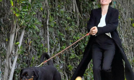 "Кто кого выгуливает?": новые фото Анджелины Джоли вызвали осуждения поклонников
