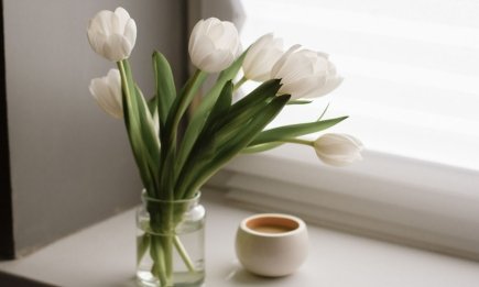 Тюльпаны на 8 марта будут как свежие до самого апреля: раскрыт секретный ингредиент, который нужно добавить в вазу