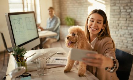 Офисы, где разрешено держать домашних животных — меньше стресса, больше продуктивности: как домашние животные влияют на психическое здоровье и результаты