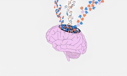 Экзамены без стресса: как работает "дворец памяти" и другие 6 методов быстрого запоминания