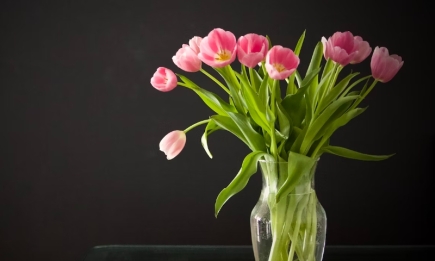 Навіщо ставити тюльпани у солодку воду? Хитрощі, які допоможуть квітам стояти довше