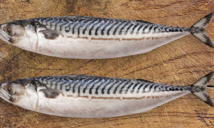 Лучше сразу отправить в помойку: почему скумбрия "разлазится" в руках и что это значит