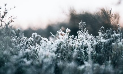 Зима 2025/2026 будет морозной и снежной, а начнется заря: что говорят синоптики