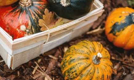 Що робити у жовтні в саду та на городі: місячний календар на жовтень 2023