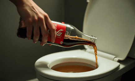 Не пейте кола – лучше вылейте ее в туалет: лайфхак, с которым унитаз будет блестеть, как новая копейка