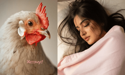 Наснилася курка — одягайте талісмани: що означає цей символ і кому він загрожує