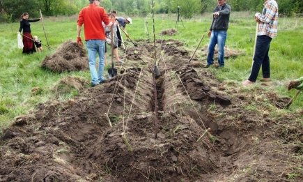 Секрет українського винахідника для рекордних врожаїв: як зробити теплі грядки Розума (ФОТО, ВІДЕО)