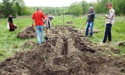 Секрет українського винахідника для рекордних врожаїв: як зробити теплі грядки Розума (ФОТО, ВІДЕО)