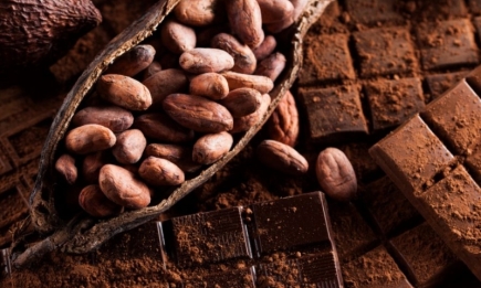 Как заварить какао, чтобы сохранить пользу напитка: советы экспертов