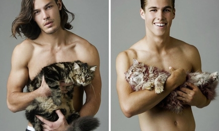 Доза умиления: фотосессия красавцев-моделей, позирующих с котами