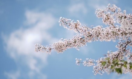 Когда в Украину придет майское тепло: синоптик назвал дату