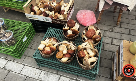 Грибы на базаре – зона опасности: что спросить у продавца, чтобы быть уверенным