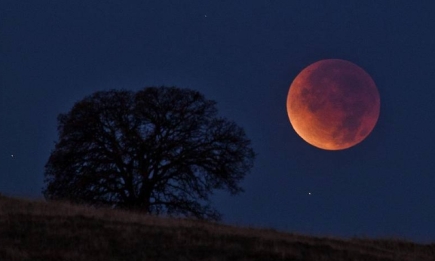 Лунное затмение 30 ноября 2020: точное время, чем опасно, что можно и нельзя делать в этот период