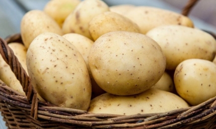 Одна елементарна дія: хитрий трюк, що зупинить проростання сирої картоплі