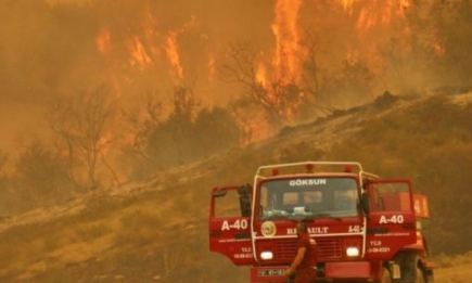 В Турции бушуют лесные пожары: погибли три человека (ФОТО)