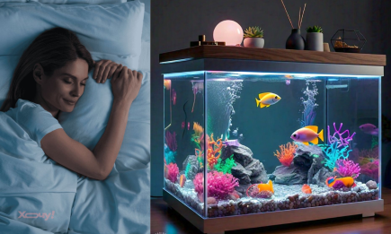 Приснился аквариум: сонник Ванги, Нострадамуса, Миллера и других прорицателей