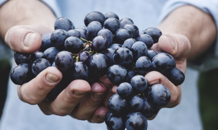Спецусловия не нужны: как дома хранить виноград