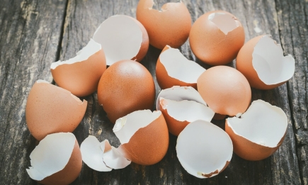 Чи можна насправді підживлювати город яєчною шкарлупою: цієї помилки припускаються навіть досвідчені дачники