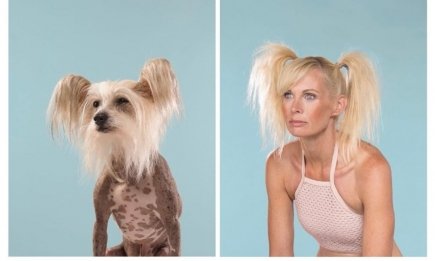 "Який господар, такий і собака". Фото, які доводять, що вони - однакові (ФОТО)