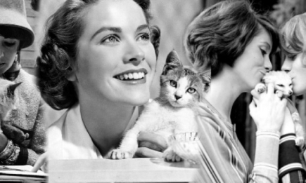 Грациозные дуэты: знаменитые женщины и кошки