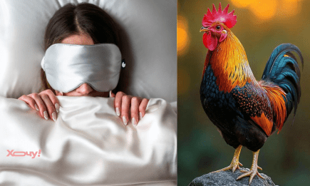 Приснился петух? Вот кто будет скандалить, а кто внезапно разбогатеет