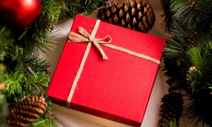 Что класть под елку: список нужных подарков