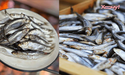 Тюлька или хамса: как их не перепутать и которая лучше подходит для ваших закусок