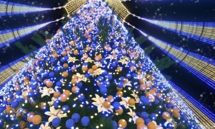 Будут ли устанавливать новогоднюю елку в Киеве? Ответ Виталия Кличко