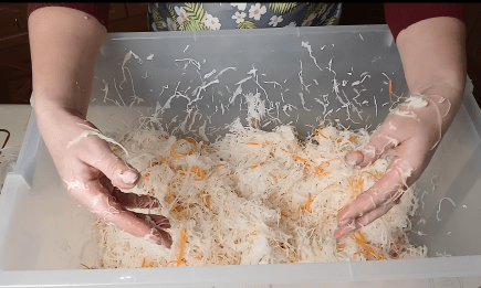 Как посчитать соль для квашения по весу капусты: показали универсальный способ (ВИДЕО)