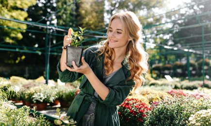 Ці рослини - справжнісінький кошмар: не садіть їх біля дому