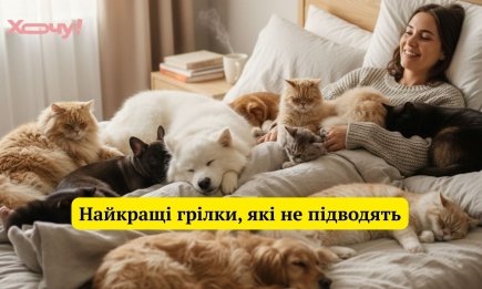 Світла немає, а почуття гумору — є: добірка жартів про життя за графіками, які зрозуміють тільки українці