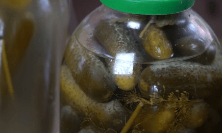 Їсти чи викинути: що означає біла плівка на квашених огірках