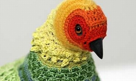 Экзотическое хобби: вязание одежды для птиц