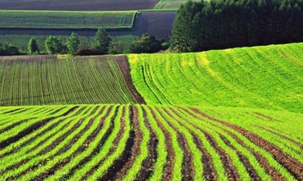 Исторический момент: Владимир Зеленский подписал закон об открытии рынка земли в Украине