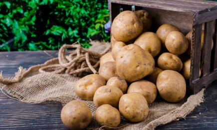Подбайте зараз, щоб потім не плакати: куди покласти картоплю, щоб не втратити весь врожай