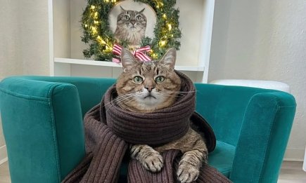 Какая милота! Кот Степан стал героем новой коллекции вязаных аксессуаров Ruslan Baginskiy (ФОТО)