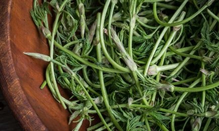 Новая спаржа: самый дорогой в мире овощ растет в Украине, как сорняк (ФОТО, ВИДЕО)