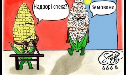 Жара довела людей до шуток, мем и анекдотов: смеемся до слез — на украинском