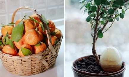 Не выбрасывайте мандариновые шкурки! Залейте их уксусом и получите бесценное средство, которое нужно в каждом доме