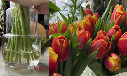 Как спасти тюльпаны с 8 Марта: экспертные советы, с которыми цветы простоят значительно дольше (видео)