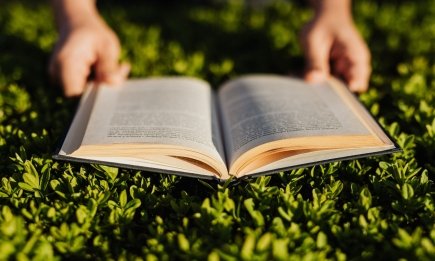 День чтения книги 2026: подборка бестселлеров, от которых просто невозможно оторваться