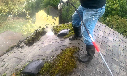 Чи потрібно прибирати мох з даху? Як зробити це правильно
