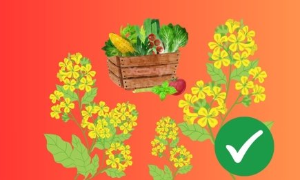 Простий лайфхак, як отримати ідеальний город: треба лише посадити цю рослину