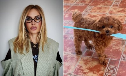 Хоче бути схожою на свого собаку: Слава Камінська змінила стрижку і показалася в Мережі (ФОТО, ВІДЕО)